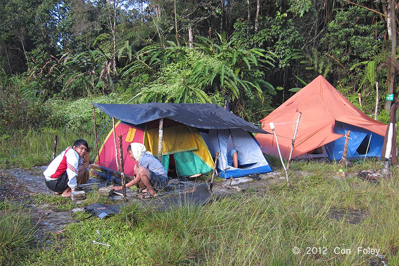 Camp site at Helipad 1