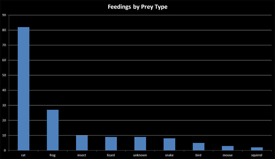 Feedings by Prey Type