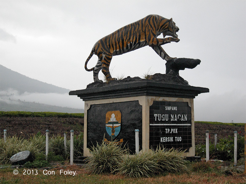 Tiger guards entrance track