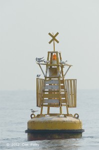 Cable Buoy