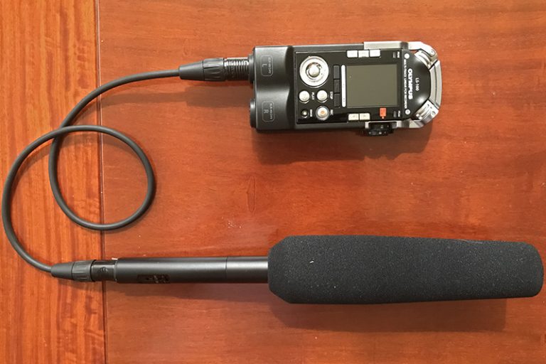 Bird Song Recording my journey with recording gear « Con Foley Photography